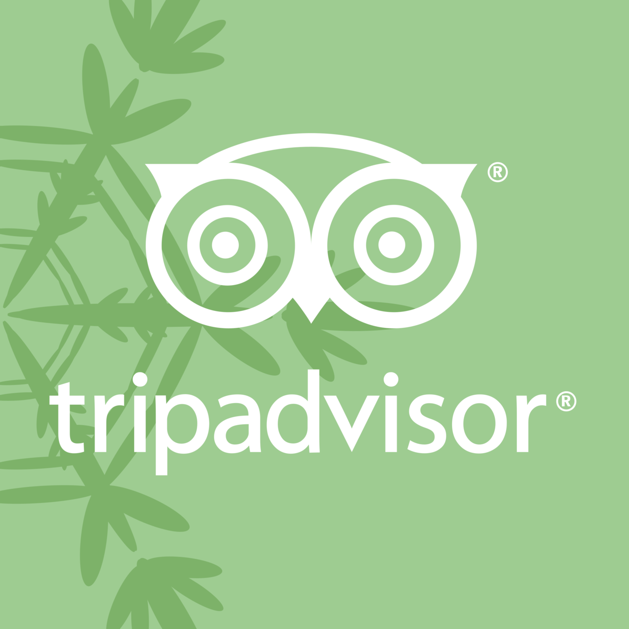 logo Tripadvisor